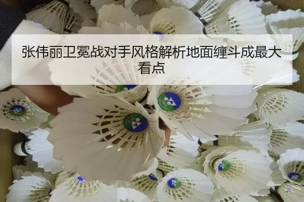 张伟丽卫冕战对手风格解析地面缠斗成最大看点